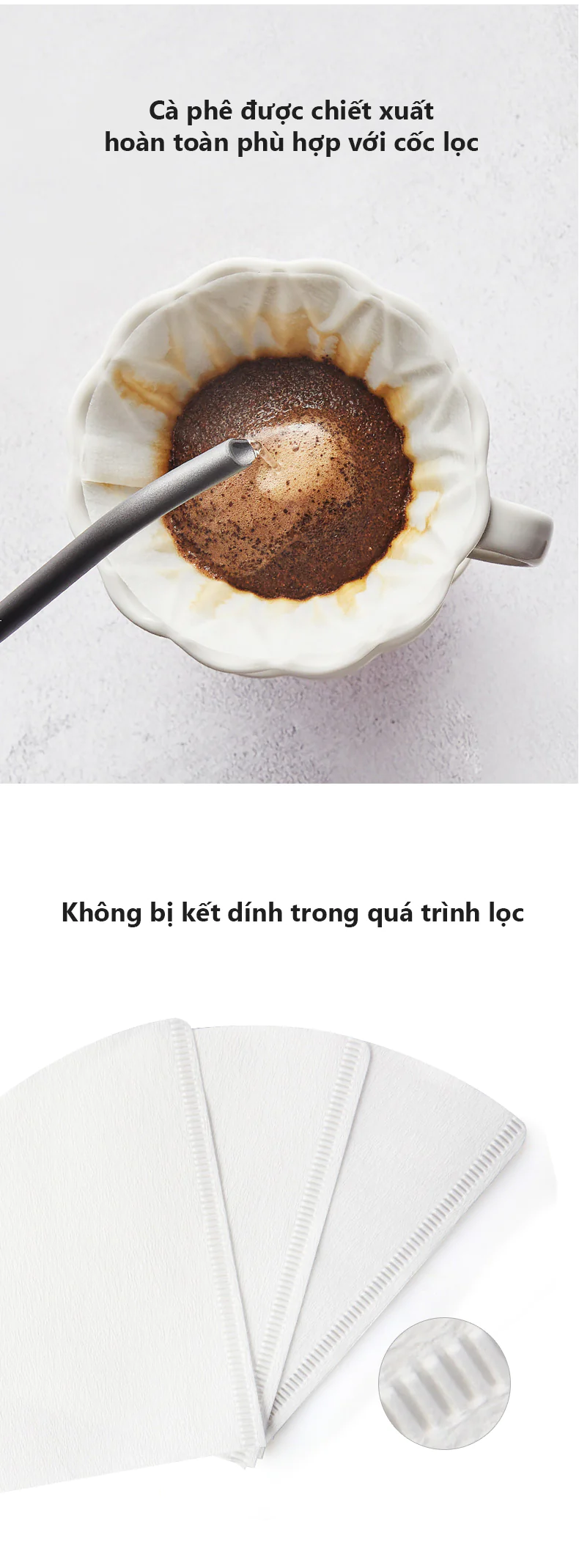 Chiết xuất cà phê với giấy V60