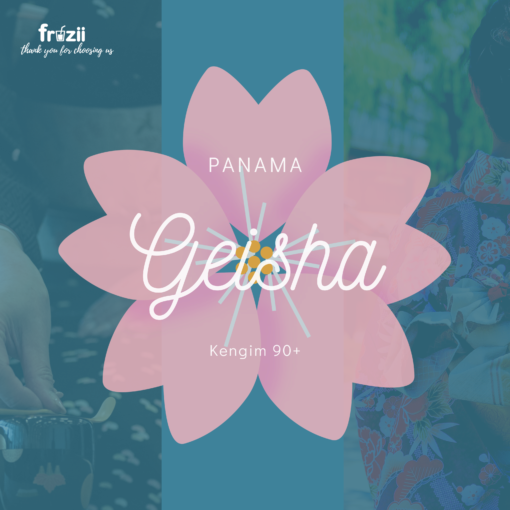 Cà phê Geisha Panama kengim 90plus