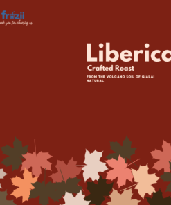 Cà phê đặc sản Librerica Gia lai