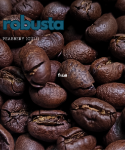 Cà phê Robusta Peaberry (Culi)