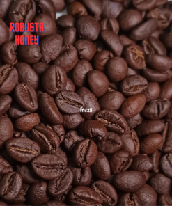 Cà phê Robusta Honey
