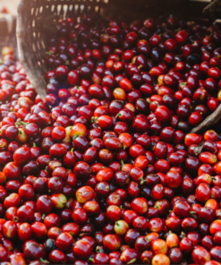 Cà phê Thế Giới