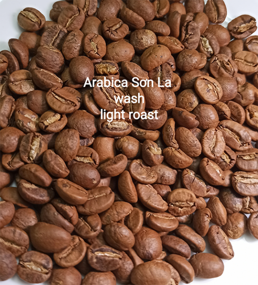 cà phê đặc sản sơn la wash light roast