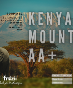 Cà phê Kenya Mount AA