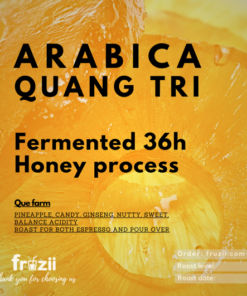 Arabica Quảng Trị 36h Honey