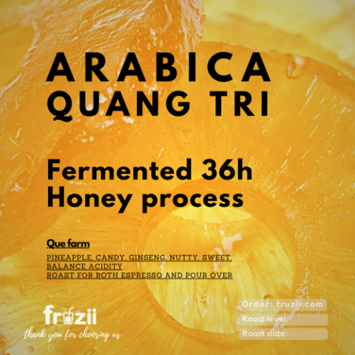 Arabica Quảng Trị 36h Honey