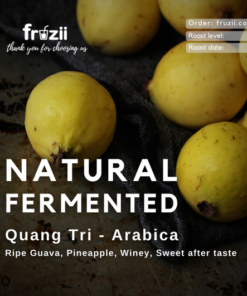 Cà phê Arabica Quảng Trị Natural lên men tự nhiên