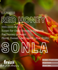 Cà phê Arabica Sơn La red honey