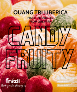 Cà phê mít quảng trị lên men trái cây