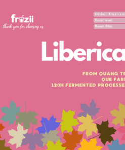 Cà phê Liberica Quảng trị lên men 120h