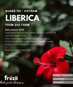 Cà phê Liberica Quang tri lên men vi sinh vật bản địa